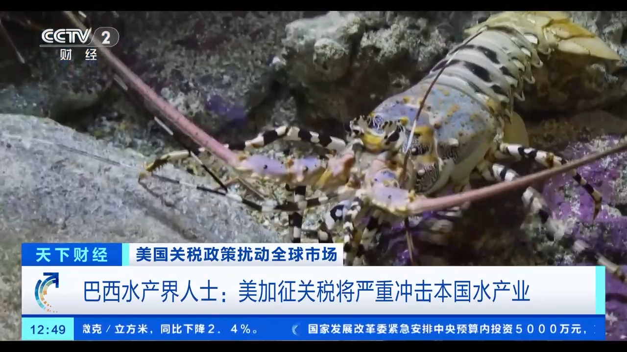 巴西水产界人士：美加征关税将严重冲击本国水产业