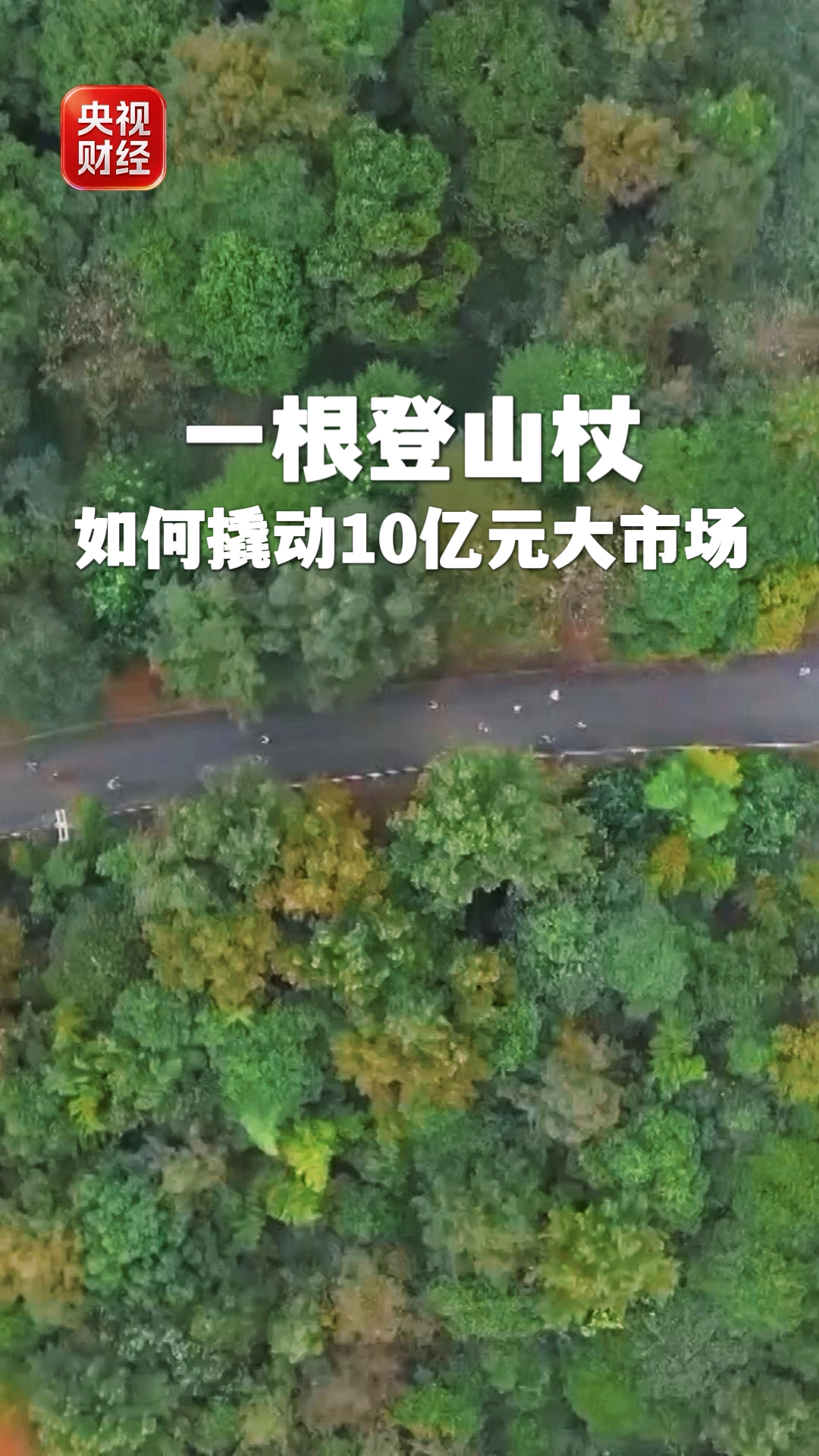 超级赛道迎万亿元商机！一根登山杖撬动10亿元大市场